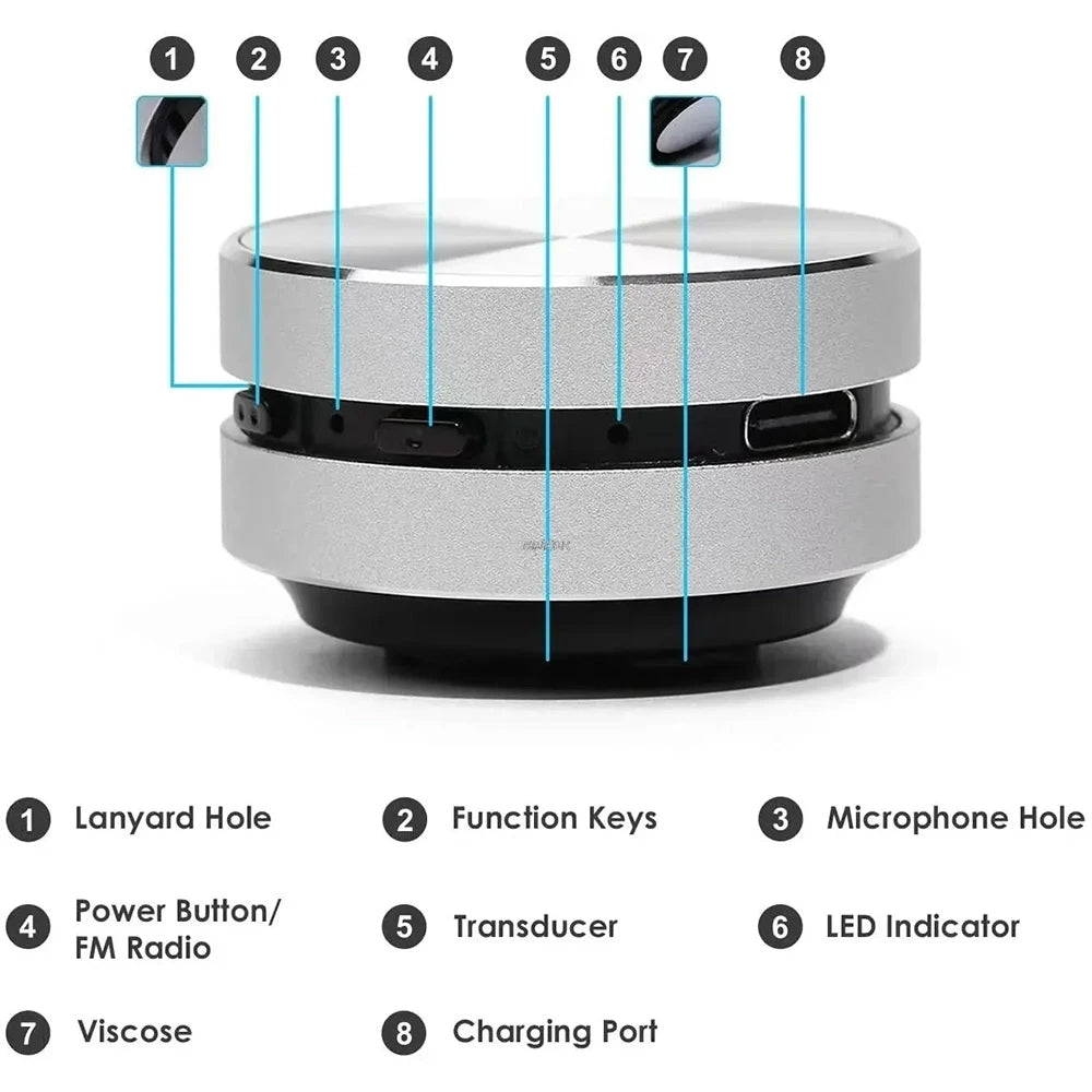 Enceinte virale sans fil